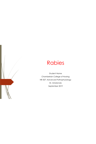 NR 507 Week 5 Disease Process Assignment; Part 2 - Rabies