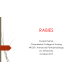NR 507 Week 7 Audio-Video Recorded Disease Process Presentation - Rabies