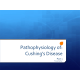 NR 507 Week 2 Disease Process Assignment Part 1; Pathophysiology of Cushings Disease