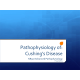 NR 507 Week 7 Disease Process Final Presentation; Pathophysiology of Cushings Disease