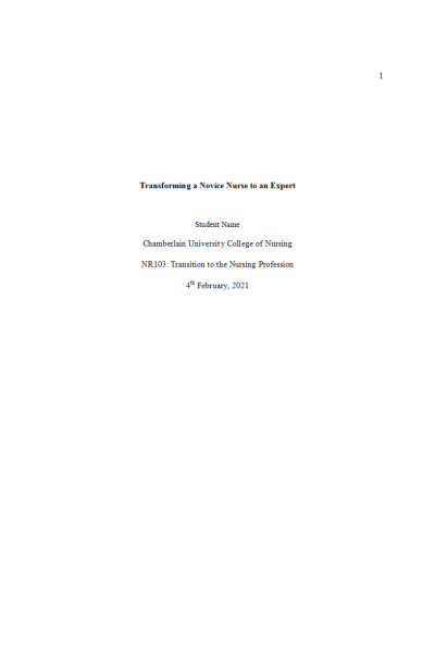 NR 103 Week 5 RUA; Transforming a Novice Nurse to an Expert