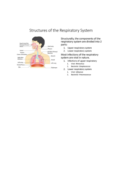 NR 103 Week 6 BRAINSHARK; A&P Respiratory Module