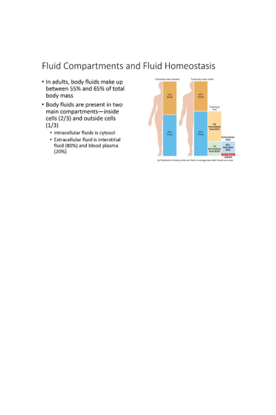 NR 103 Week 7 BRAINSHARK; A&P Fluids and Electrolytes Module