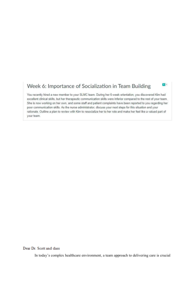 NR 531 Week 6 Discussion; Importance of Socialization in Team Building
