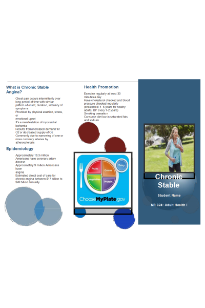 NR 283 Week 4 Assignment; Brochure - Chronic Stable Angia