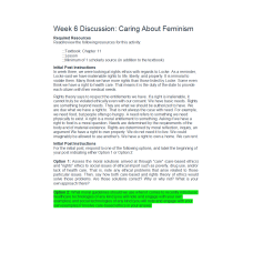 ETHC 445N Week 6 Discussion; Caring About Feminism - Option 2