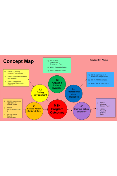 NR 667 Week 6 Assignment: E-Portfolio - Concept Map