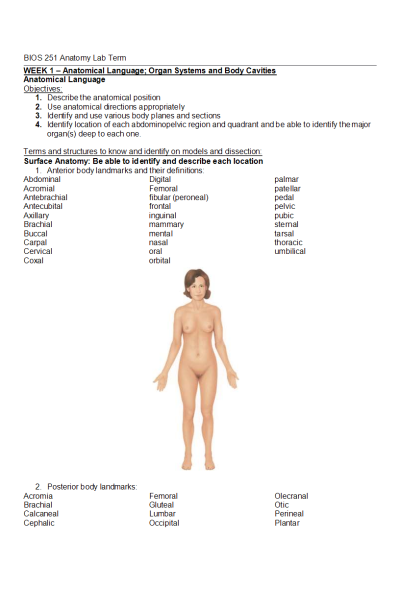 xBIOS 251 Week 1 - 7 Anatomy Lab Terms List with Practice Pictures