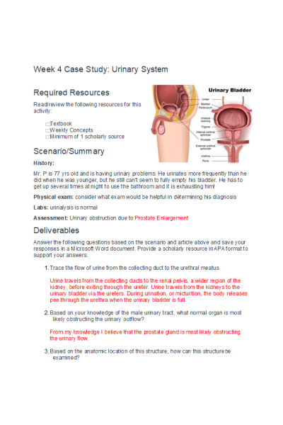 BIOS 256 Week 4 Case Study; Urinary System