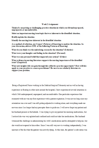 NR 501 Week 2 Assignment: Reflective Essay