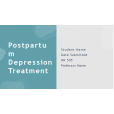 NR 505 Week 7 Assignment; Evidence-based Practice Change PowerPoint Presentation - Postpartum Depression Treatment