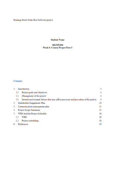 MGMT 404 Week 6 Course Project Part 3 (Sections E and F) - Getta Byte Software Project