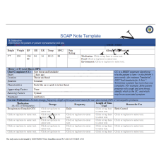 NR 509 Week 3 iHuman SOAP Note Template