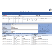 NR 509 Week 4 iHuman SOAP Note Template