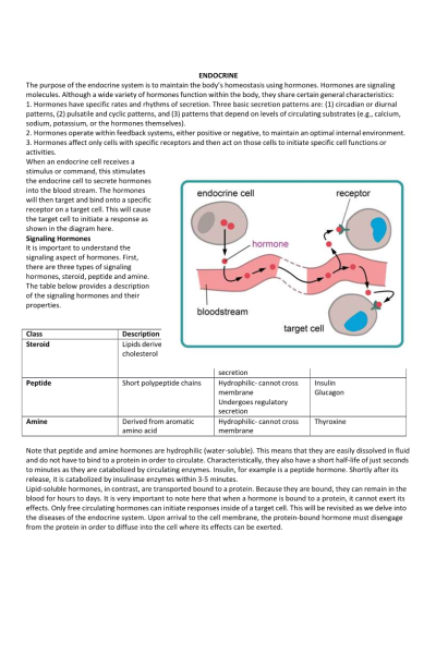 NR 507 Week 6 Assignment; Alterations in the Endocrine System (E-dapt Content)