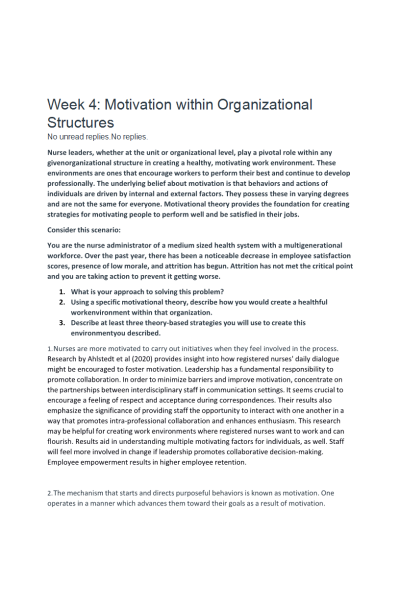 NR 531 Week 4 Discussion Topic; Motivation within Organizational Structures