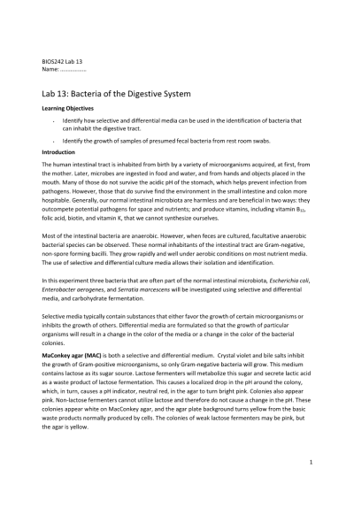 BIOS 242 Week 7 Lab 1; Bacteria of Digestive System