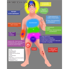 Antibiotics by Site