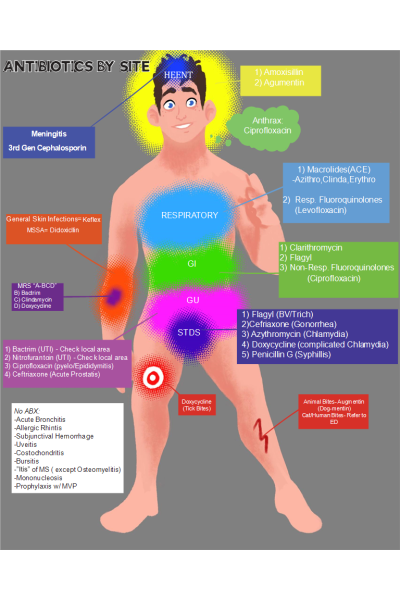 Antibiotics by Site