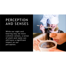 Perception Presentation (8 Slides)