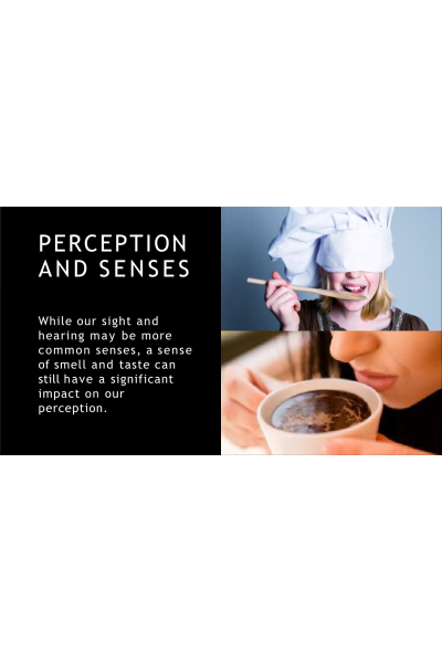 Perception Presentation (8 Slides)