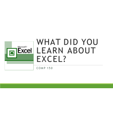 What did you learn about Exel ?