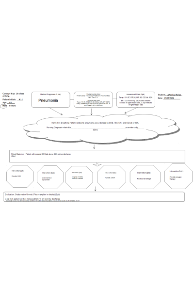 NR 226 Week 1 Concept Map - In Class Activity