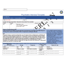 NR 548 Week 6 Psychiatric Interview Documentation Assignment Template (Initials: Ken Smith)