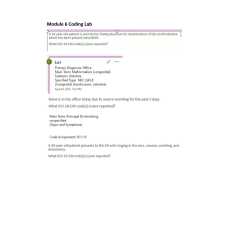 HIT 205 Module 6 Coding Lab