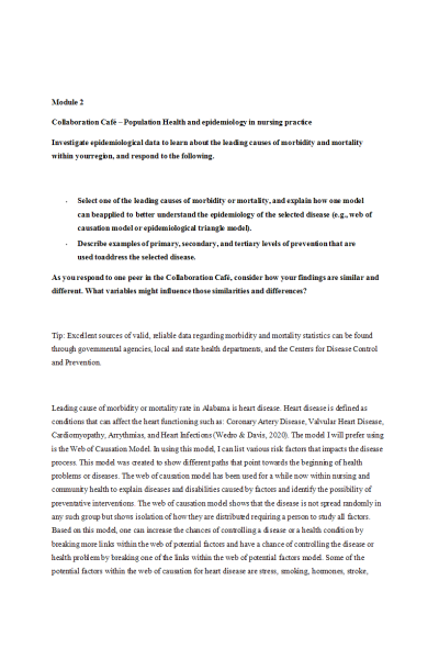 NR 528 Module 2 Collaboration Café - Population Health and epidemiology in nursing practice
