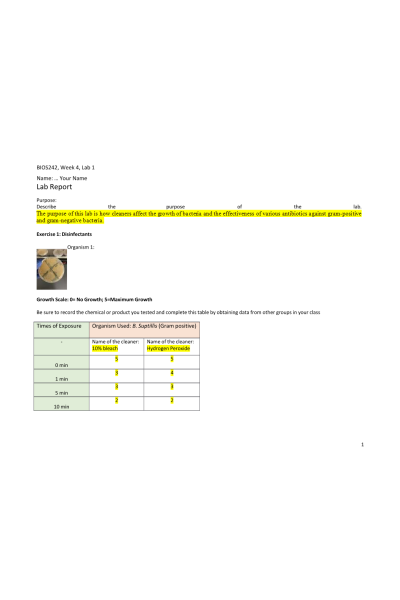 BIOS 242 Week 4 Assignment; Lab 7 of 14 Onsite; Disinfectants and Antibiotics