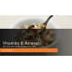 CHEM 120 Week 7 Assignment; Group Project Presentation - Vitamins & Minerlas
