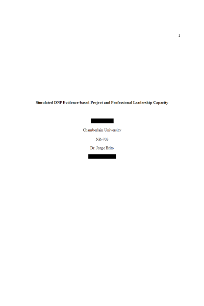 NR 703 Week 3 Assignment; Simulated DNP Evidence-based Project Professional Leadership Capacity - Part 1