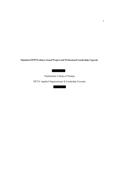 NR 703 Week 3 Assignment; Simulated DNP Evidence-based Project Professional Leadership Capacity - Part 1