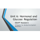 NR 283 Week 6 eDapt; Hormonal and Glucose Regulation