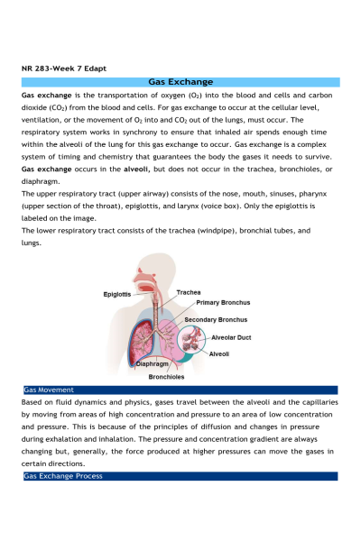 NR 283 Week 7 eDapt; Gas Exchange - 22 points
