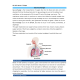NR 283 Week 7 eDapt; Gas Exchange - 22 points