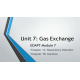 NR 283 Week 7 eDapt; Gas Exchange - 22 points