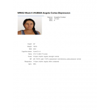 NR 602 Week 6 iHuman Virtual Patient Encounter - Angela Cortez (Depression)