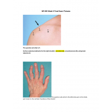 NR 509 Week 8 Final Exam Pictures